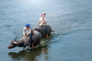 Toa-do-check-in-tay-bac-mua-hoa-ban-dep-khong-goc-chet-vietmountain-travel2