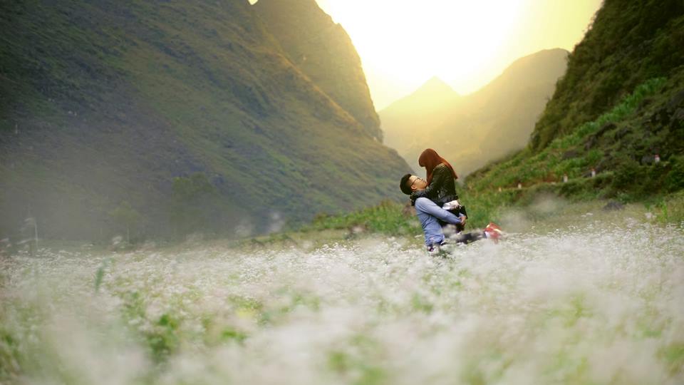 Say-nang-truoc-ve-dep-cua-hoa-tam-giac-mach-o-ha-giang-vietmountaintravel111