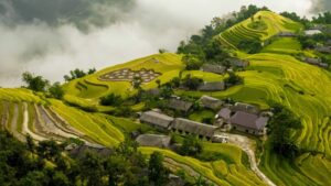 Ban-phung-hoang-su-phi-ha-giang-vietmountain-travel