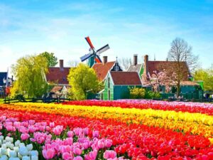 Du-lich-zaanse-schans2