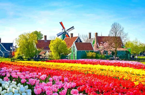 Du-lich-zaanse-schans2