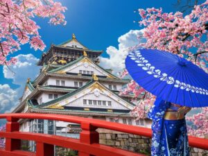 Asian,woman,wearing,japanese,traditional,kimono,looking,at,cherry,blossoms