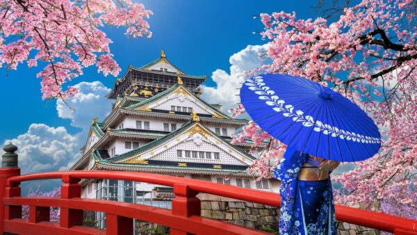 Asian,woman,wearing,japanese,traditional,kimono,looking,at,cherry,blossoms